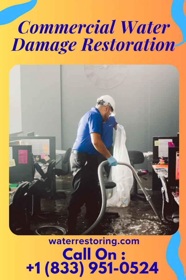 Commercial Water Damage Restoration in Norridge, IL